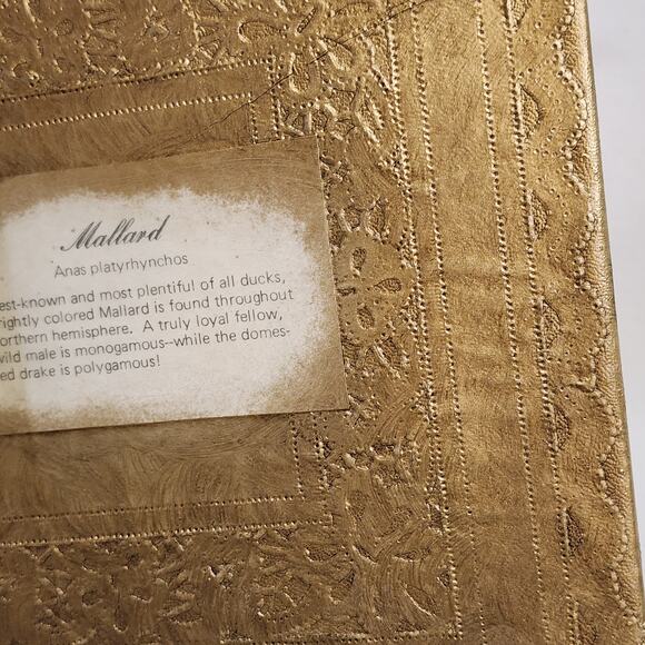 VTG Mallard Duck 3D Open Book Wall Art Gold Finish by Ellen Watkins 12x10 - Picture 10 of 13